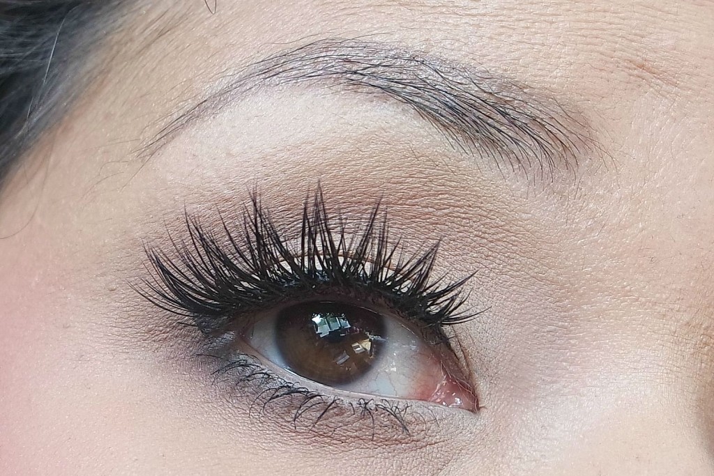House of Lashes Iconic 02