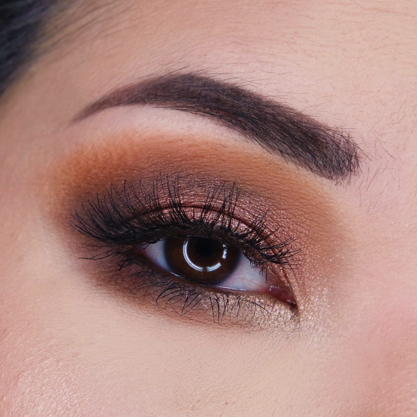 Urban Decay Naked Reloaded Look