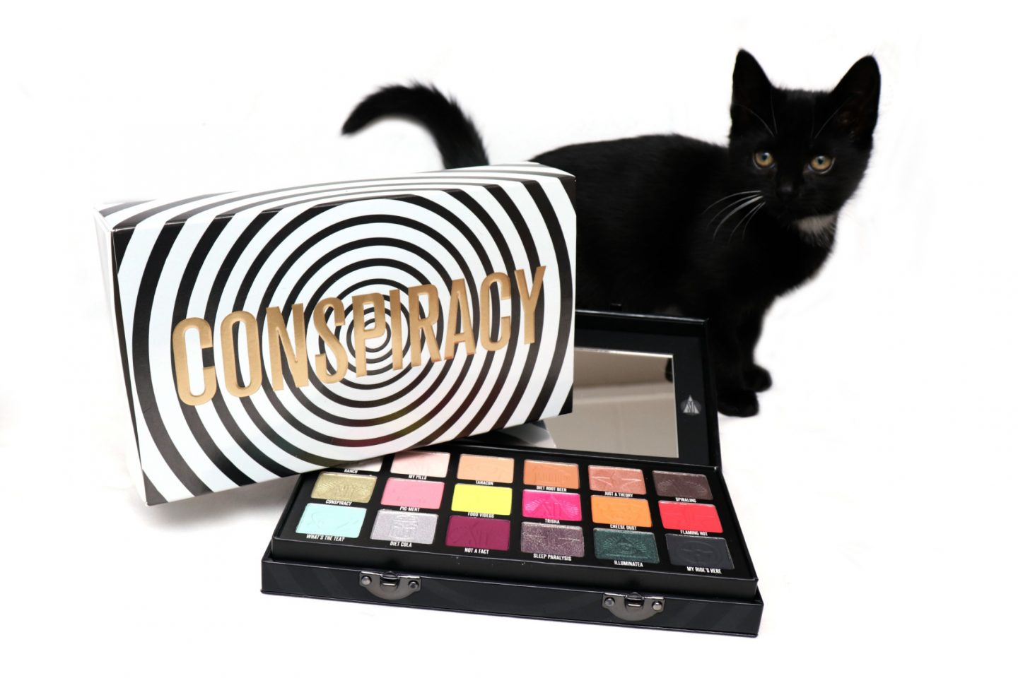 Shane x Jeffree Conspiracy Palette Review