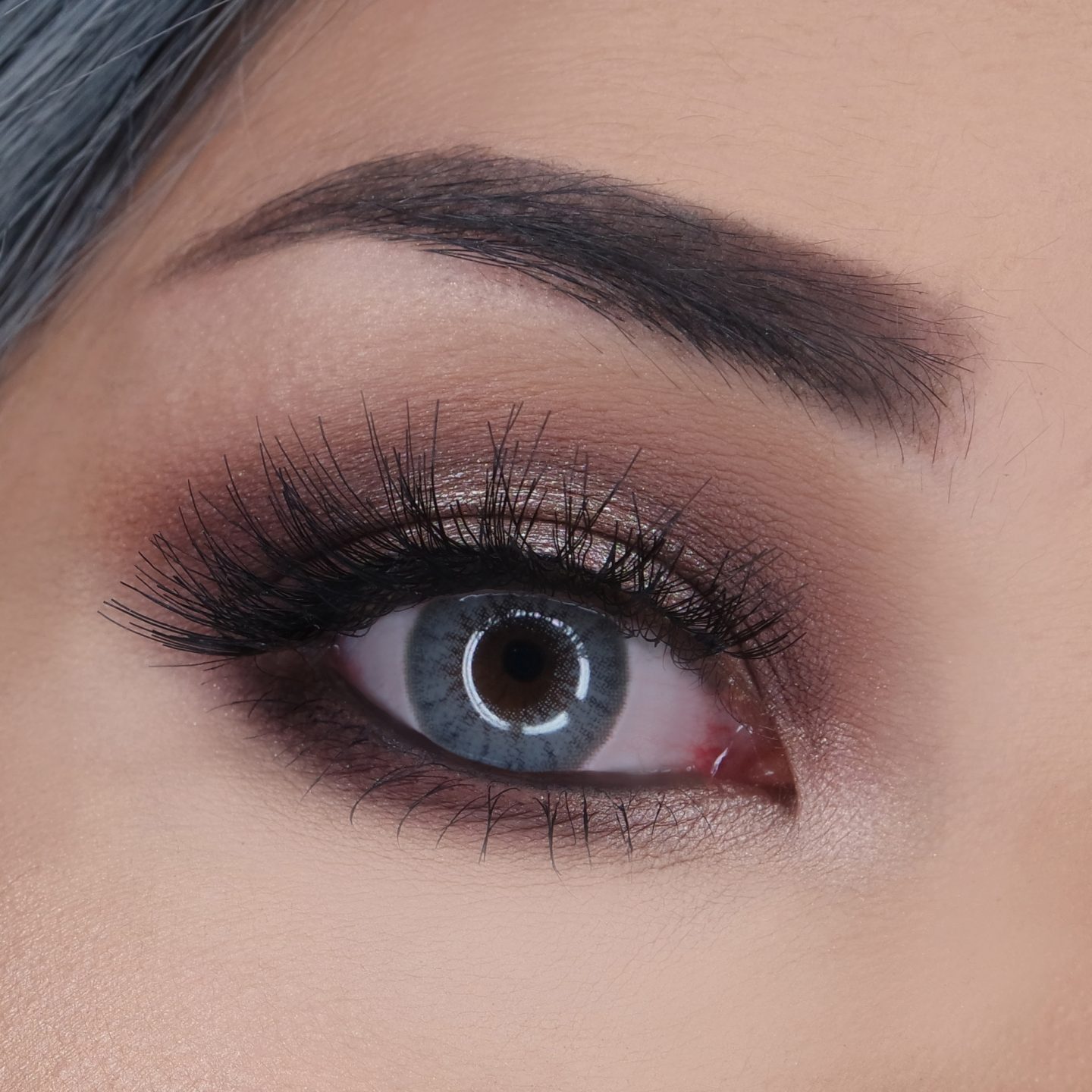 Desio Two Shades of Grey Color Contact Lenses